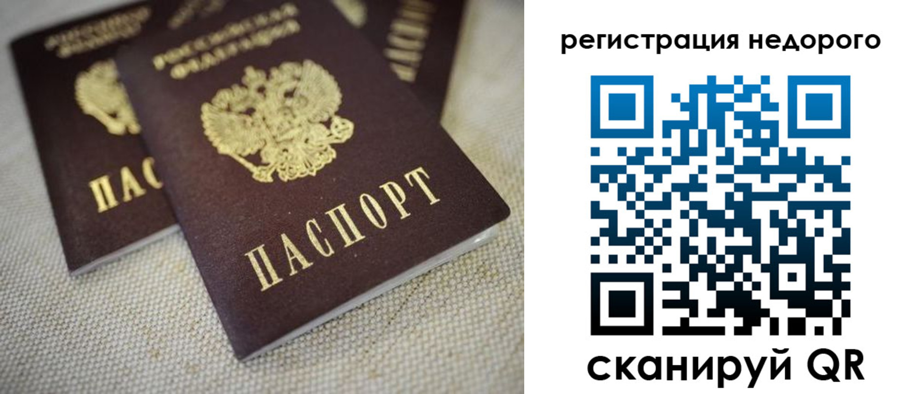 временная регистрация гарантия в Апатитах